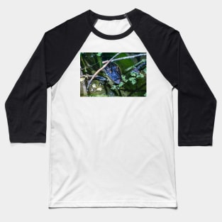 Alligator In The Wild Baseball T-Shirt